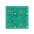 Emerald Paisley Silk Bandana Scarf – 50 × 50 cm